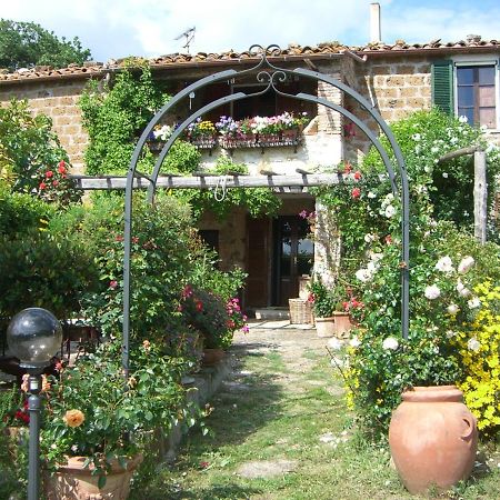 Le Querciolaie Monte Cavallo - Upper Apartment Saturnia Εξωτερικό φωτογραφία