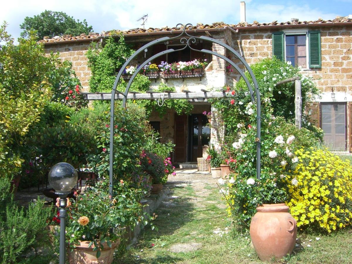Le Querciolaie Monte Cavallo - Upper Apartment Saturnia Εξωτερικό φωτογραφία