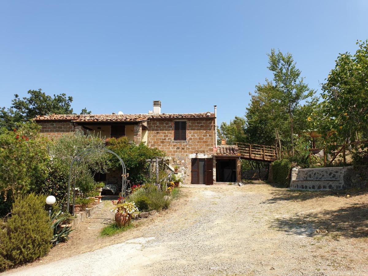 Le Querciolaie Monte Cavallo - Upper Apartment Saturnia Εξωτερικό φωτογραφία